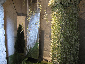 Girona Temps de Flors 2014. Els soterranis de la Catedral