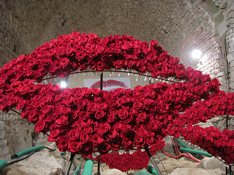 Girona Temps de Flors 2014. Els soterranis de la Catedral