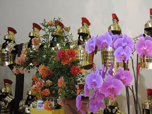 Girona Temps de Flors 2014. Sant Lluc - Castrum dels Manaies de Girona