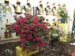 Girona Temps de Flors 2014. Sant Lluc - Castrum dels Manaies de Girona