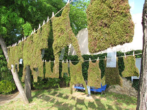 Girona Temps de Flors 2014. Torre Gironella - Jardins dels Alemanys