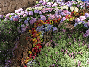 Girona Temps de Flors 2014. Torre Gironella - Jardins dels Alemanys