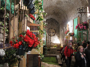 Girona Temps de Flors 2014. Torre Gironella - Jardins dels Alemanys