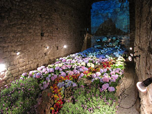 Girona Temps de Flors 2014. Torre Gironella - Jardins dels Alemanys