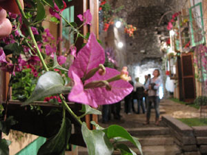 Girona Temps de Flors 2014. Torre Gironella - Jardins dels Alemanys