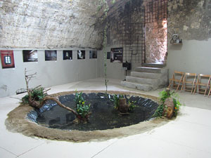 Girona Temps de Flors 2014. Torre Gironella - Jardins dels Alemanys