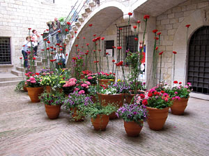 Girona Temps de Flors 2014. La Fontana d'Or - CaixaForum