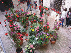 Girona Temps de Flors 2014. La Fontana d'Or - CaixaForum