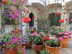 Girona Temps de Flors 2014. La Fontana d'Or - CaixaForum