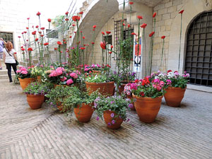 Girona Temps de Flors 2014. La Fontana d'Or - CaixaForum