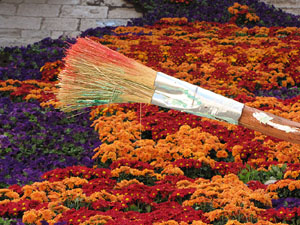 Girona Temps de Flors 2014. Pujada de Sant Dom&egrave;nec, la Casa Agullana, el Palau de Caramany i Cromats Ensesa