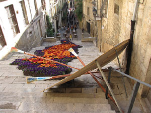 Girona Temps de Flors 2014. Pujada de Sant Dom&egrave;nec, la Casa Agullana, el Palau de Caramany i Cromats Ensesa