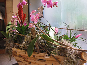 Girona Temps de Flors 2014. Pujada de Sant Dom&egrave;nec, la Casa Agullana, el Palau de Caramany i Cromats Ensesa