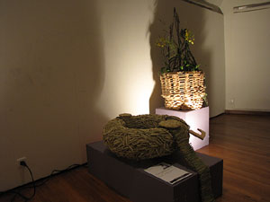 Girona Temps de Flors 2014. Pujada de Sant Dom&egrave;nec, la Casa Agullana, el Palau de Caramany i Cromats Ensesa