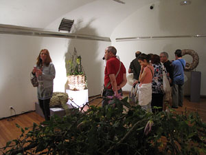 Girona Temps de Flors 2014. Pujada de Sant Dom&egrave;nec, la Casa Agullana, el Palau de Caramany i Cromats Ensesa