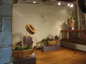 Girona Temps de Flors 2014. Pujada de Sant Dom&egrave;nec, la Casa Agullana, el Palau de Caramany i Cromats Ensesa