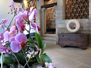 Girona Temps de Flors 2014. Pujada de Sant Dom&egrave;nec, la Casa Agullana, el Palau de Caramany i Cromats Ensesa
