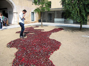 Girona Temps de Flors 2014. Sant Dom&egrave;nec i el mirador dels Maristes