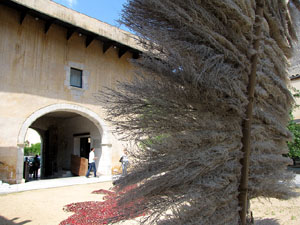 Girona Temps de Flors 2014. Sant Dom&egrave;nec i el mirador dels Maristes