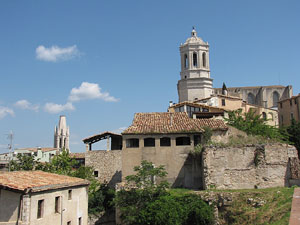 Girona Temps de Flors 2014. Sant Dom&egrave;nec i el mirador dels Maristes
