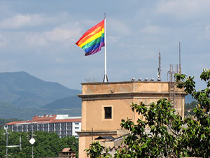 Girona Temps de Flors 2014. Sant Dom&egrave;nec i el mirador dels Maristes