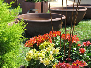 Girona Temps de Flors 2014. Sant Dom&egrave;nec i el mirador dels Maristes