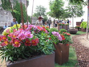 Girona Temps de Flors 2014. Sant Dom&egrave;nec i el mirador dels Maristes