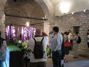 Girona Temps de Flors 2014. Capella de Sant Nicolau, Casa D&iacute;az-Tarrag&oacute; i Jard&iacute; de l'&Agrave;ngel