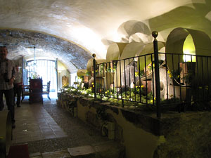 Girona Temps de Flors 2014. Capella de Sant Nicolau, Casa Díaz-Tarragó i Jardí de l'Àngel