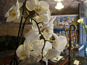 Girona Temps de Flors 2014. Capella de Sant Nicolau, Casa D&iacute;az-Tarrag&oacute; i Jard&iacute; de l'&Agrave;ngel