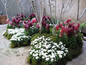 Girona Temps de Flors 2014. Sant Mart&iacute;, Can Forn i Esgl&eacute;sia del Carme