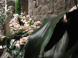 Girona Temps de Flors 2014. Les Sarra&iuml;nes