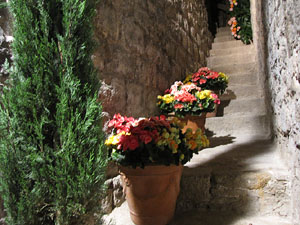 Girona Temps de Flors 2014. Les Sarra&iuml;nes