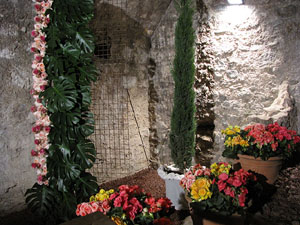 Girona Temps de Flors 2014. Les Sarra&iuml;nes