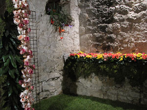 Girona Temps de Flors 2014. Les Sarraïnes