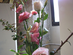 Girona Temps de Flors 2014. Les Sarra&iuml;nes