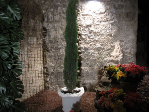 Girona Temps de Flors 2014. Les Sarra&iuml;nes