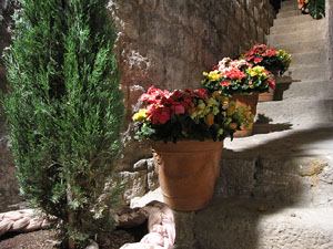 Girona Temps de Flors 2014. Les Sarra&iuml;nes