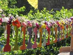 Girona Temps de Flors 2014. El Passeig Arqueol&ograve;gic