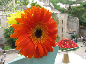 Girona Temps de Flors 2014. El Passeig Arqueol&ograve;gic
