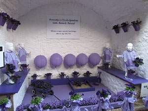 Girona Temps de Flors 2014. Capella de Sant Crist&ograve;fol - Jardins de la Francesa