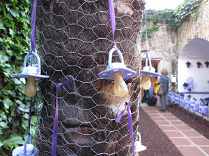 Girona Temps de Flors 2014. Capella de Sant Crist&ograve;fol - Jardins de la Francesa