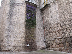 Girona Temps de Flors 2014. Casa Pastors i voltants de la Catedral