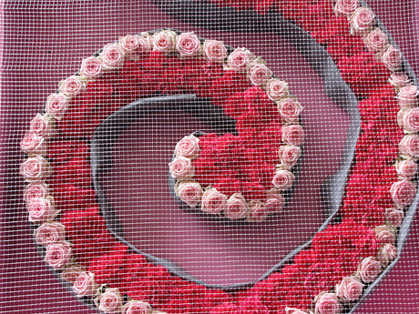 Girona Temps de Flors 2014. Casa Pastors i voltants de la Catedral