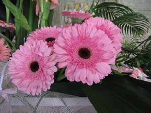 Girona Temps de Flors 2014. El claustre de la Catedral