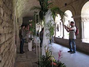 Girona Temps de Flors 2014. El claustre de la Catedral