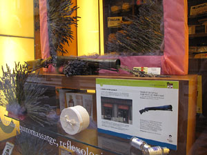 Girona Temps de Flors 2014. Un Museu a l'aparador