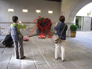 Girona Temps de Flors 2014. Pla&ccedil;a del Vi - Teatre Municipal