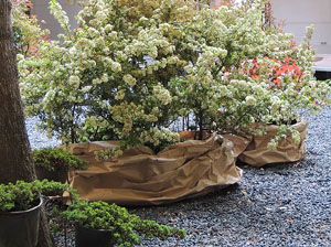 Girona Temps de Flors 2014. Espais, patis i exposicions diversos