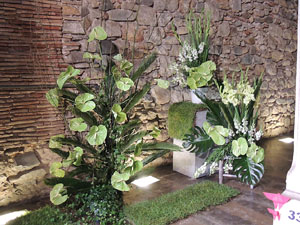 Girona Temps de Flors 2014. Espais, patis i exposicions diversos